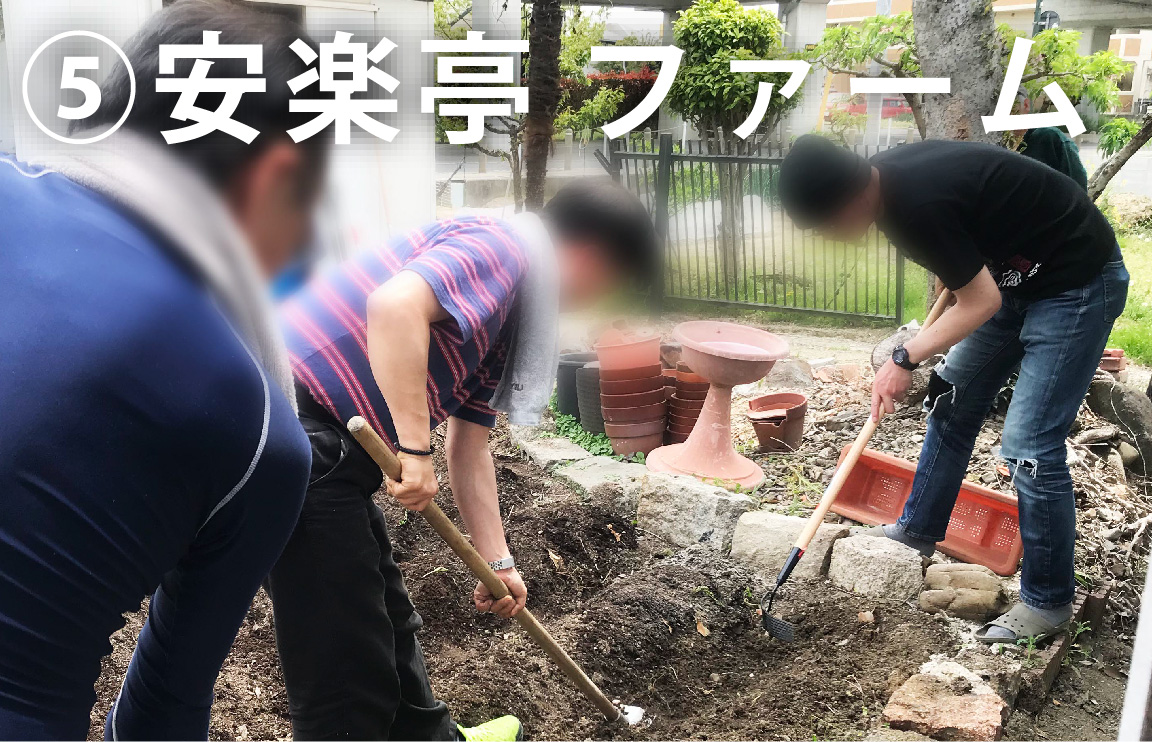 ⑤ 畑もやってます